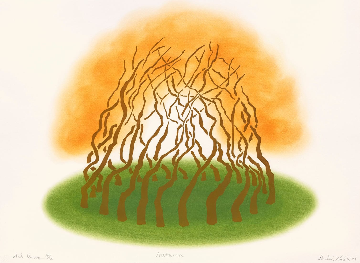 <span class="artist"><strong>David Nash</strong></span>, <span class="title"><em>Ash Dome Autumn</em>, 2021</span>