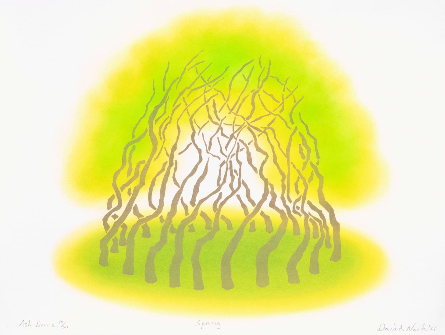 <span class="artist"><strong>David Nash</strong></span>, <span class="title"><em>Ash Dome Spring</em>, 2021</span>