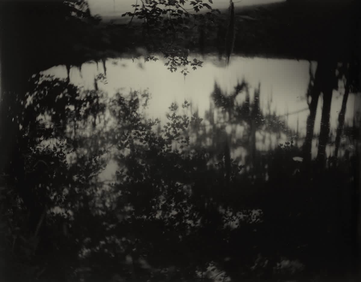 Sally Mann Proud Flesh