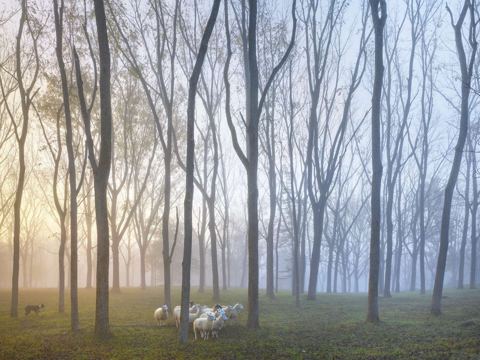 Mist Casts the Hudson Valley in a Mysterious Light in Andrew Moore’s Atmospheric Photographs 