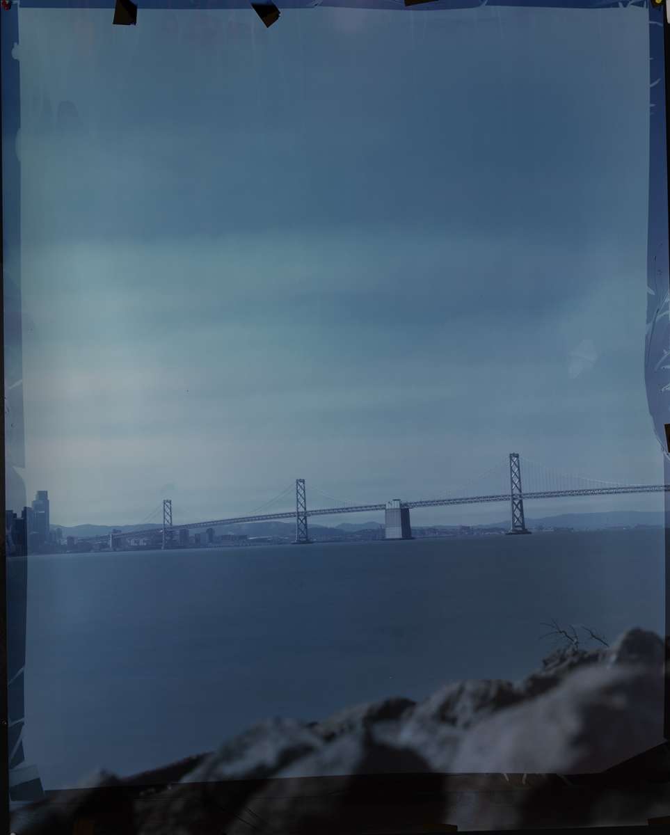 John Chiara's 'Sea of Glass' reframes nature on Treasure Island 