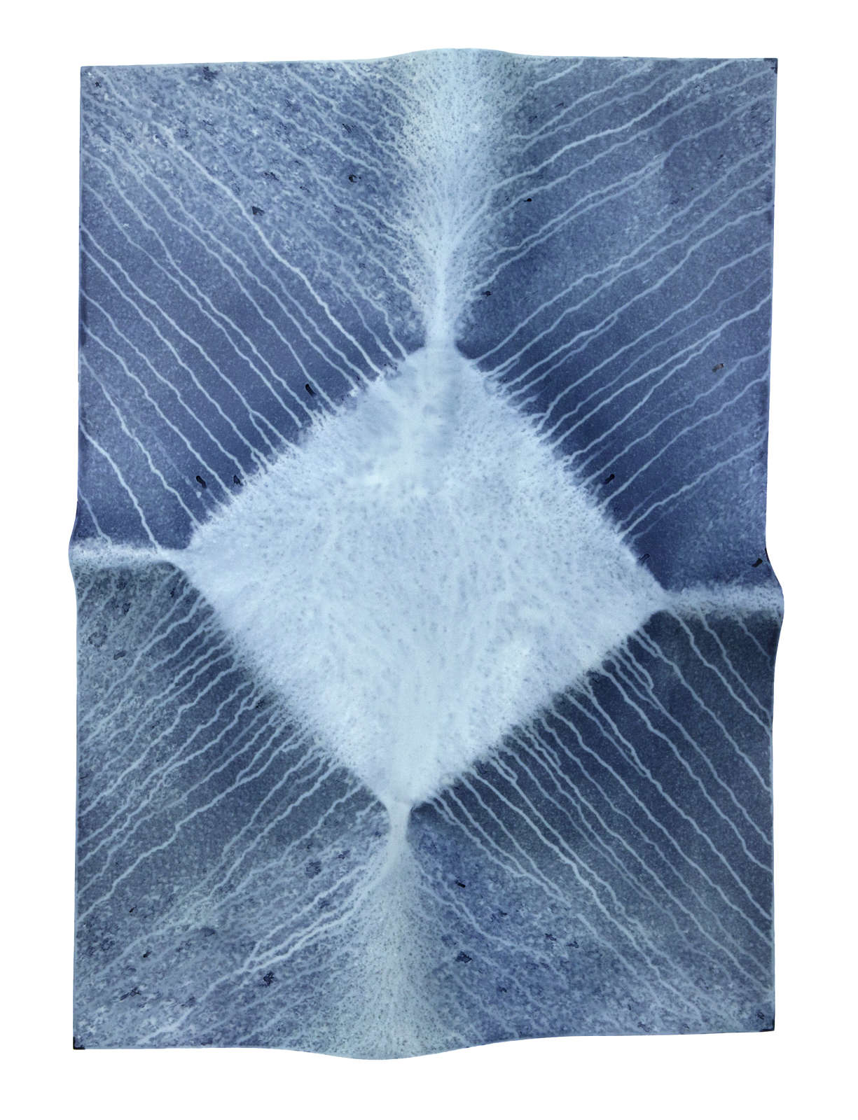 Meghann Riepenhoff, Ecotone #192 (Bainbridge Island, WA 07.21.17, Draped in Summer Storm), 2017