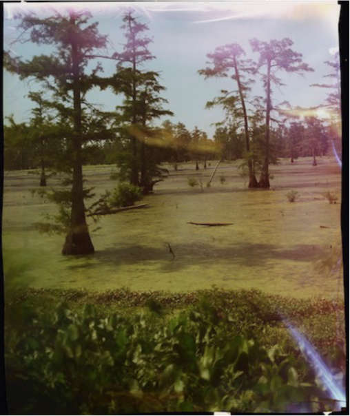 Annis Brake at County Line V1 , 2015