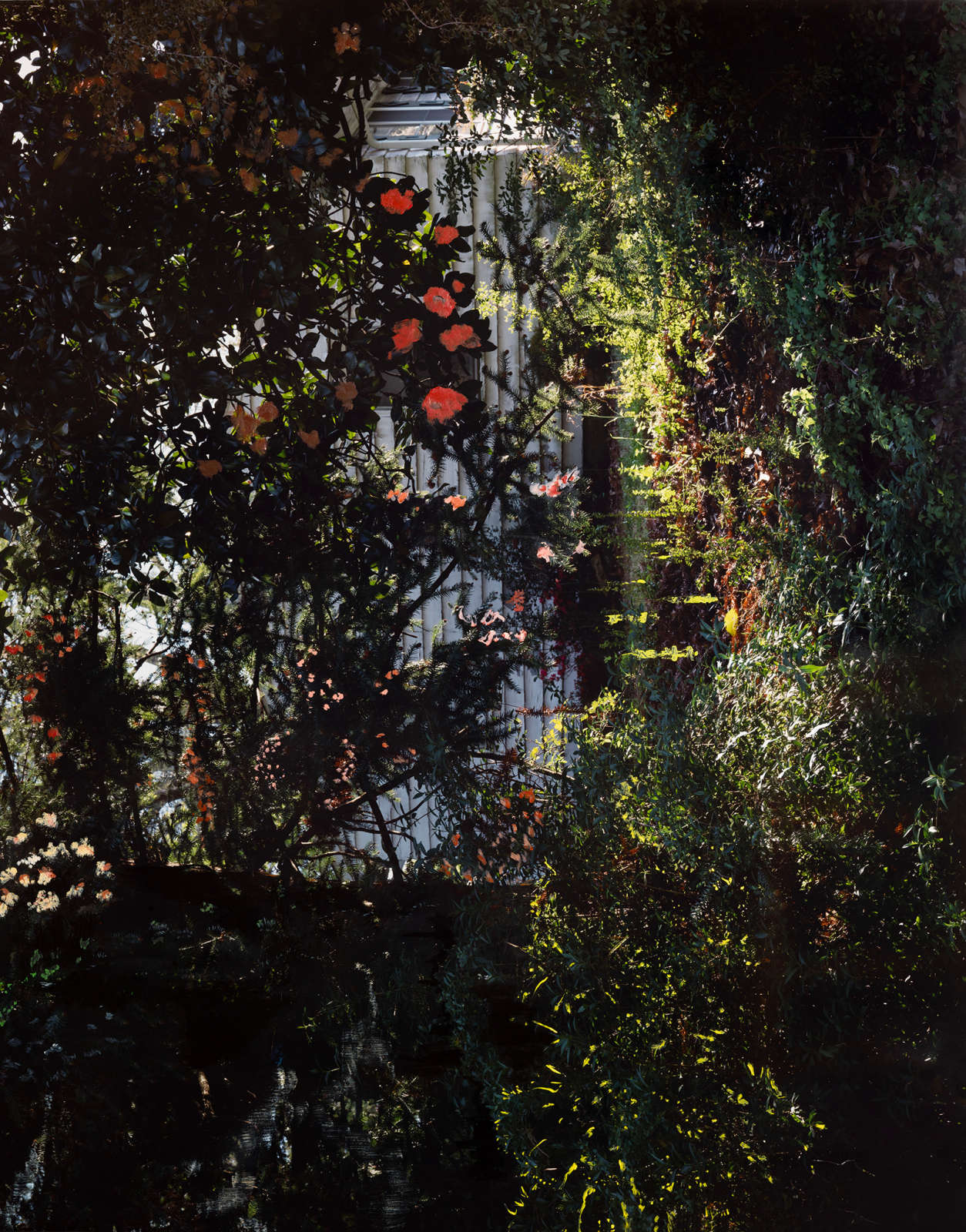 Angela West, I must've wished a million times, 2024