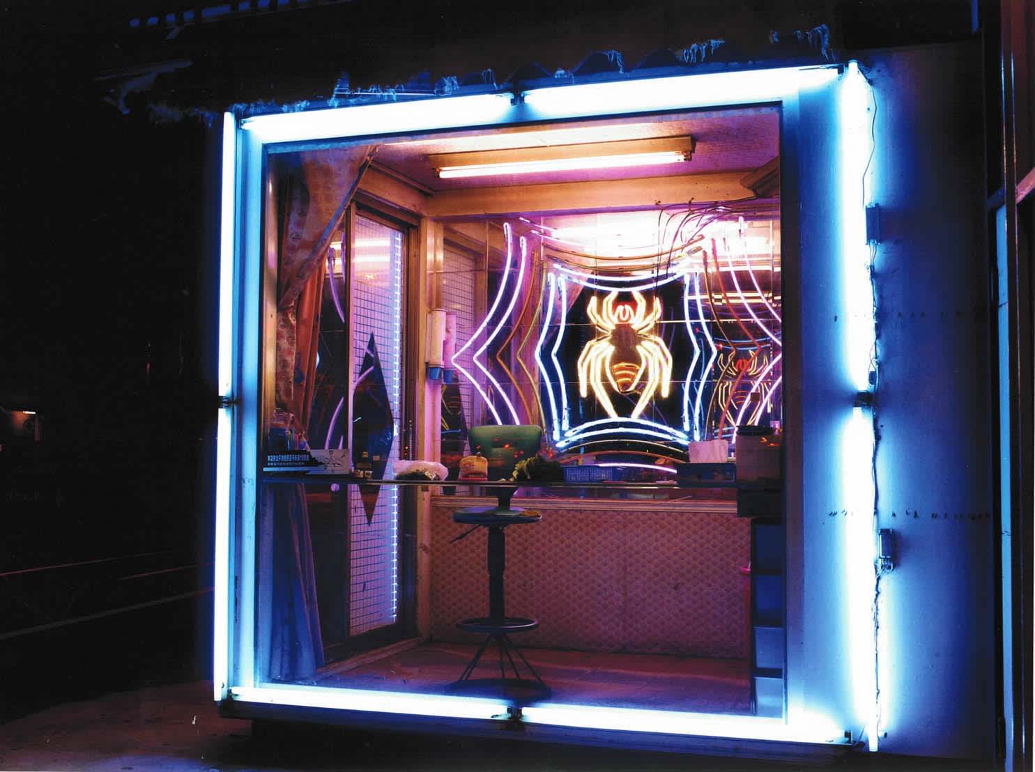 Untitled, Binran Series, Plate 48, 2007