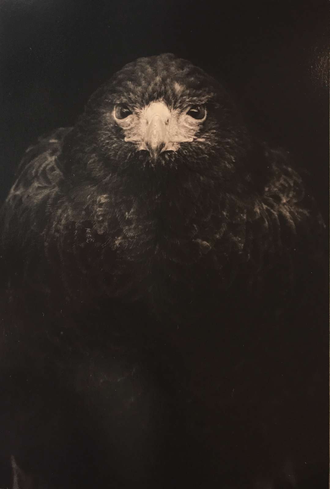 Kawa=Flow #1649, 2016