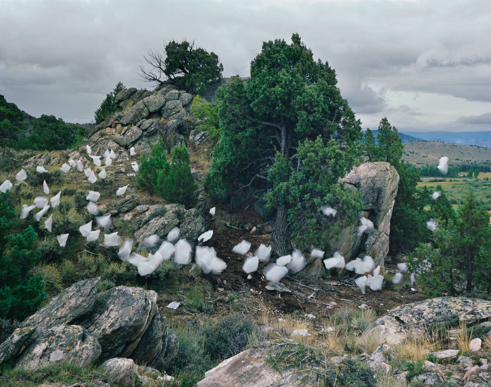 Thomas Jackson, Thank You Bags no. 1, Saratoga, Wyoming, 2013