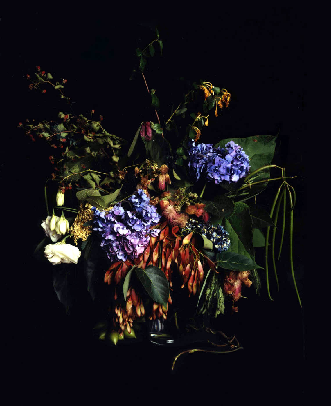 Angela West, Summer Still Life #2, From the series: Nature Morte, 2004