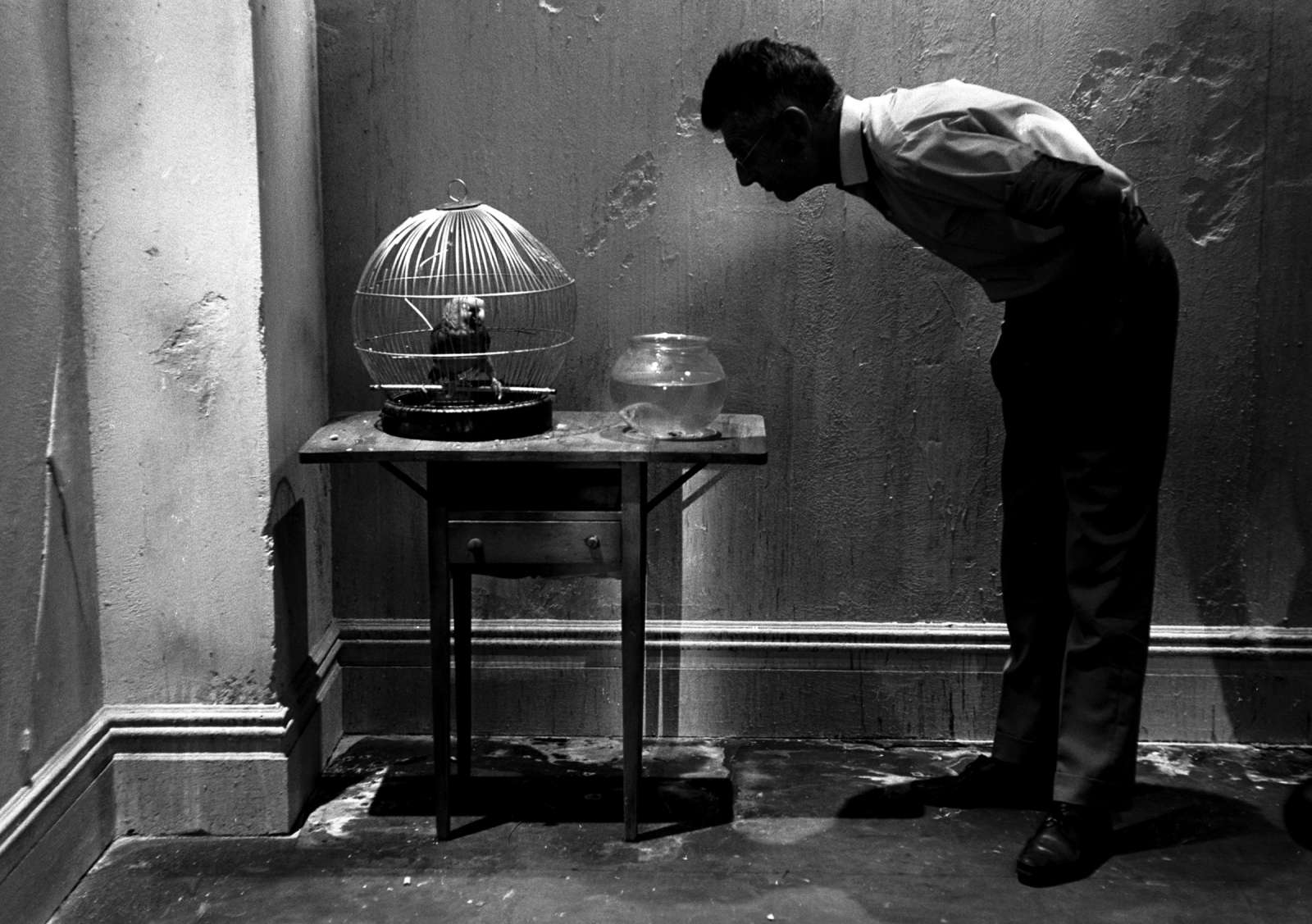 Steve Schapiro, Samuel Beckett Looking at Parrot, New York, 1964