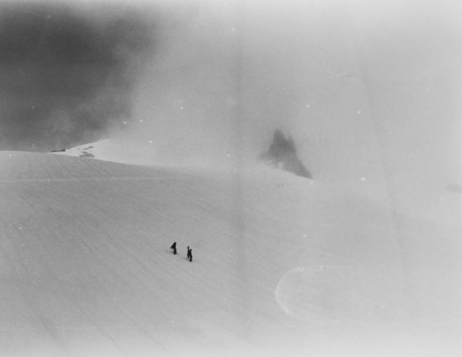 Tommy Nease, Daniel, 2017