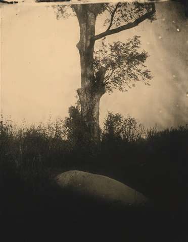 Sally Mann, Untitled (Deep South #05), 1998