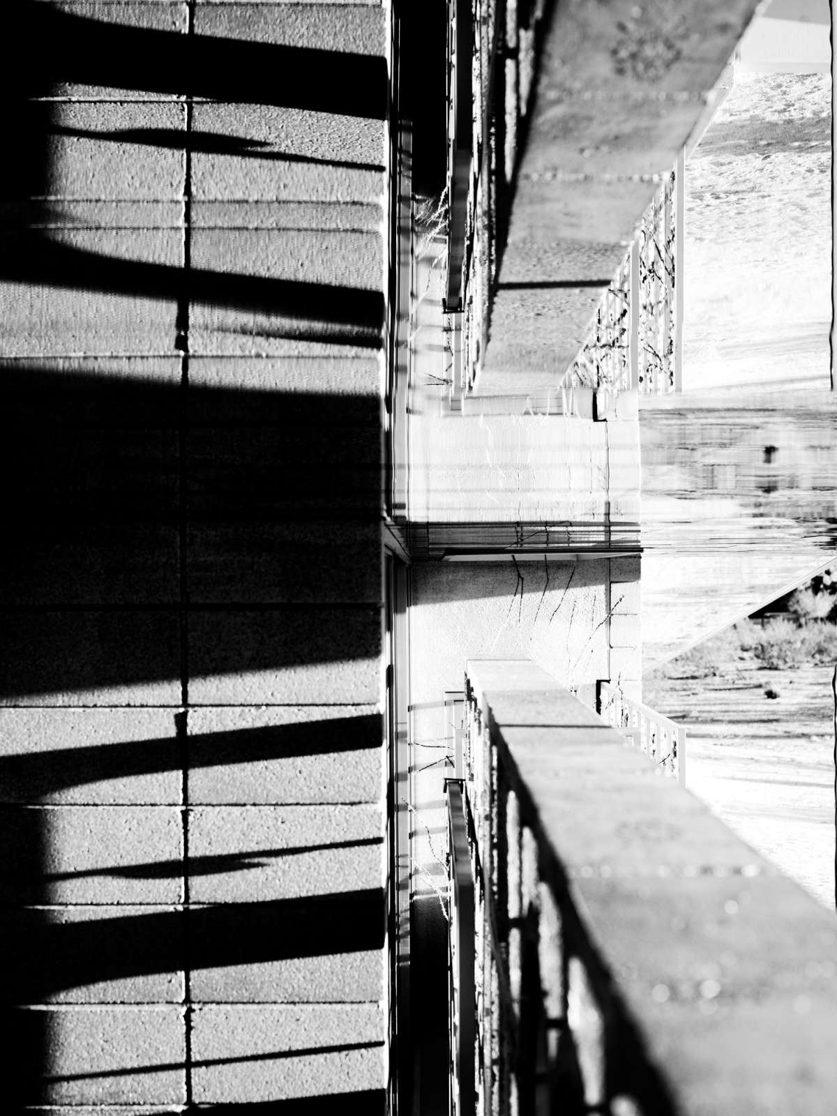 Mona Kuhn, AD 11099, 2013