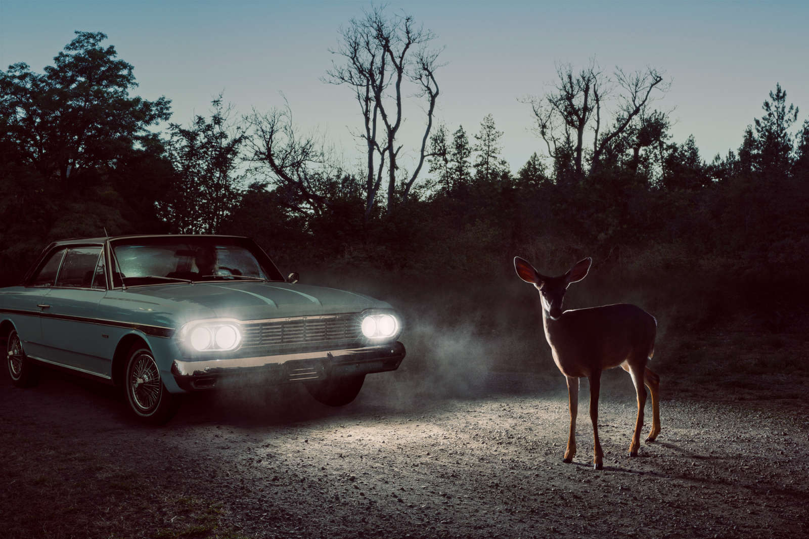 Holly Andres, River Road: Milepost 13 , 2015