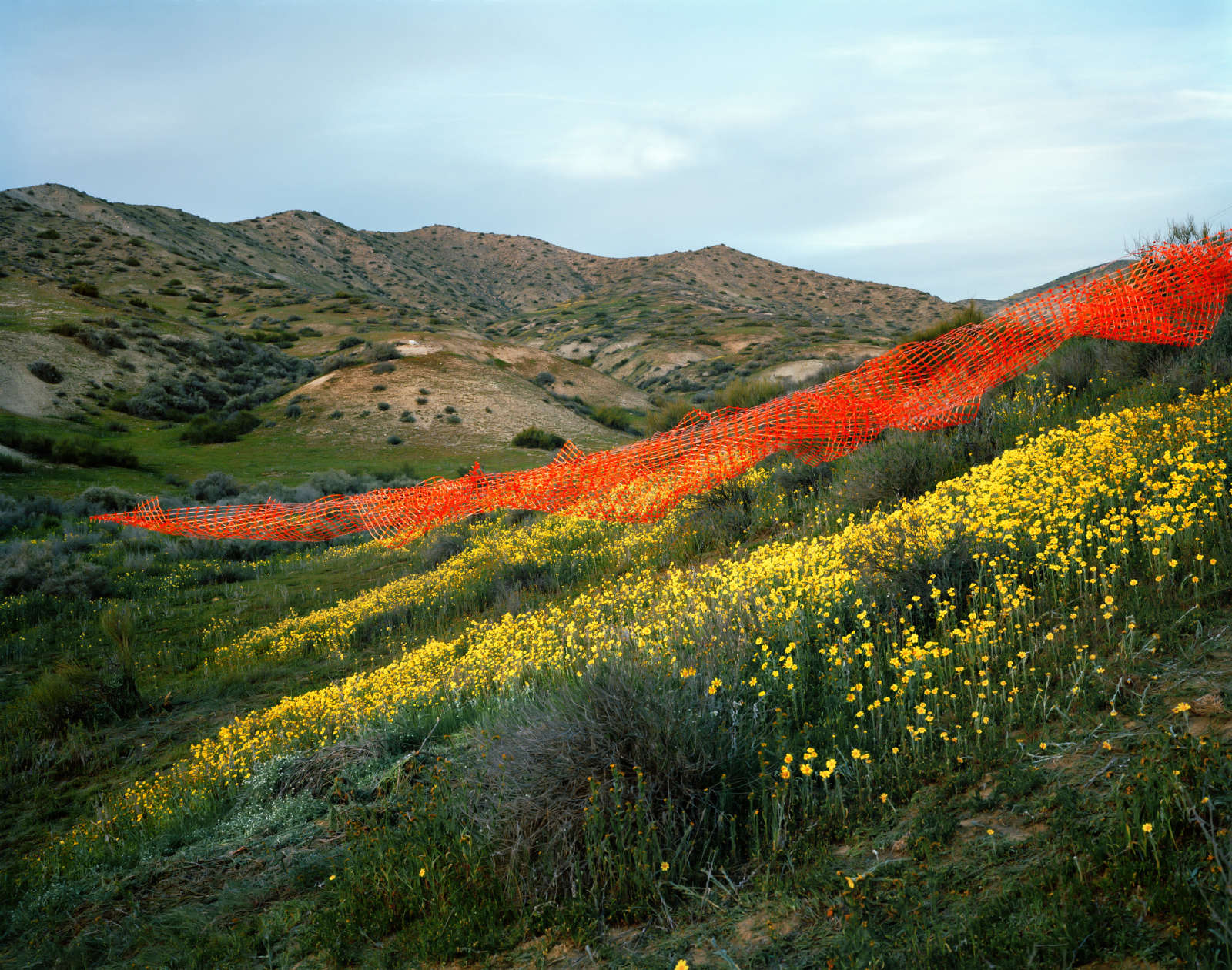 Thomas Jackson, Safety Fence no. 1, Carrizo Plain, California, 2016