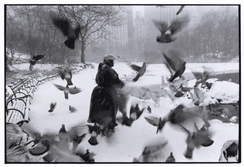USA, New York City, Lola in Central Park with birds and snow, 1992