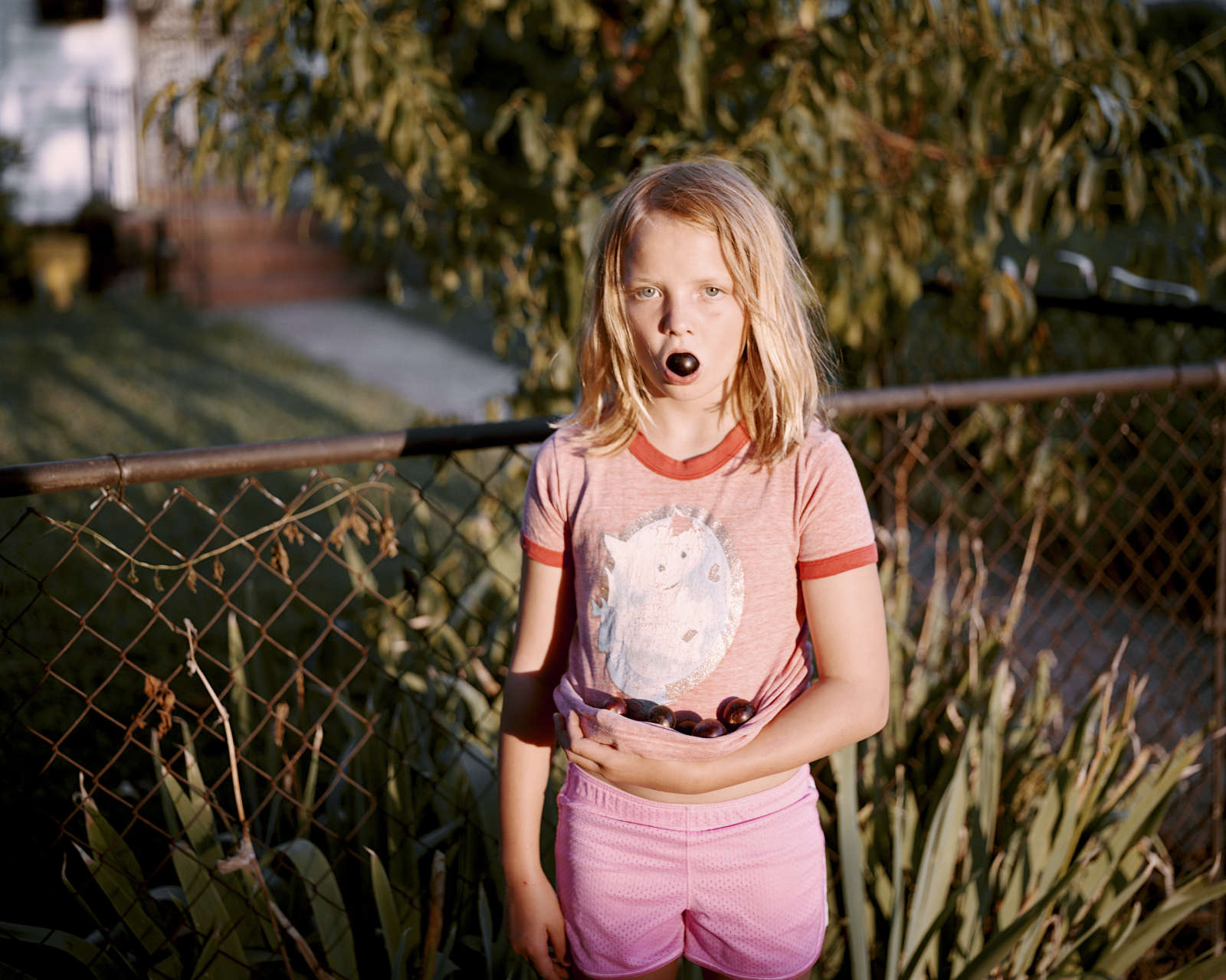 Susan Worsham, Plum Mouth, 2014