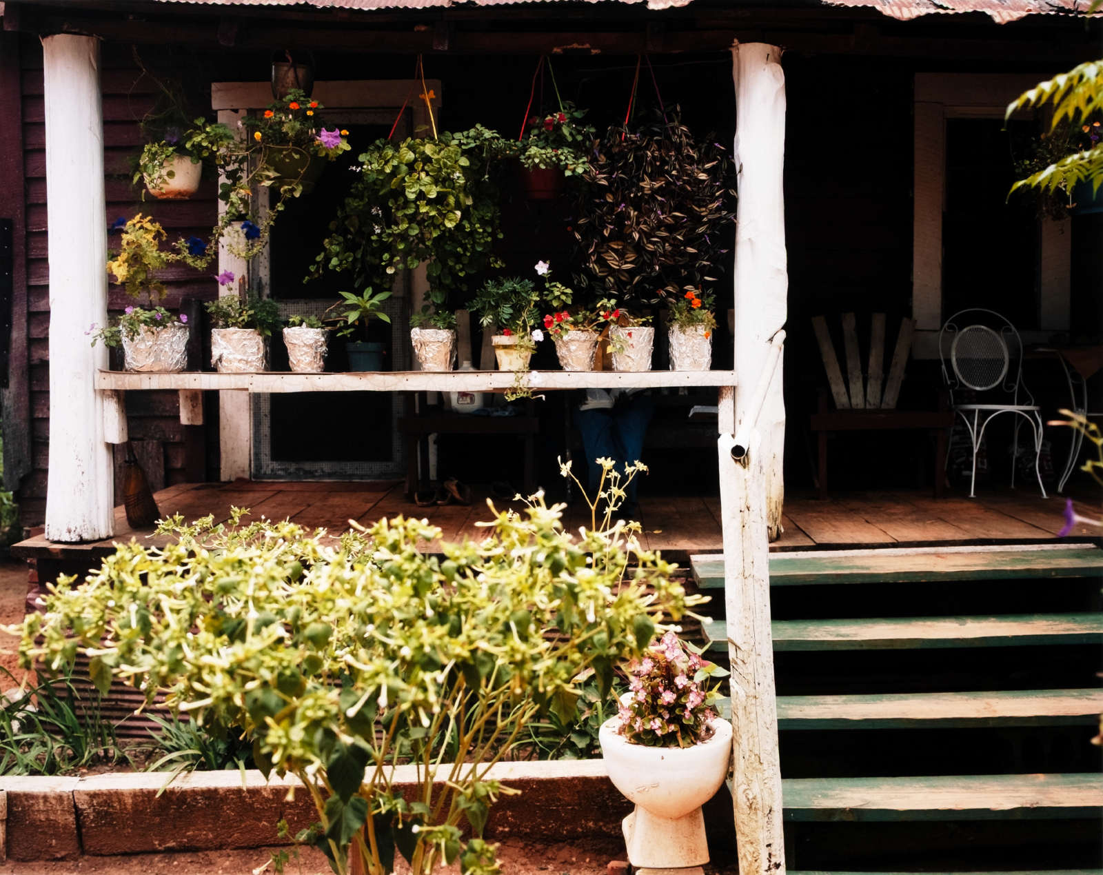 William Christenberry, Flowers and Porch, near Morgan Springs, Alabama, 1985