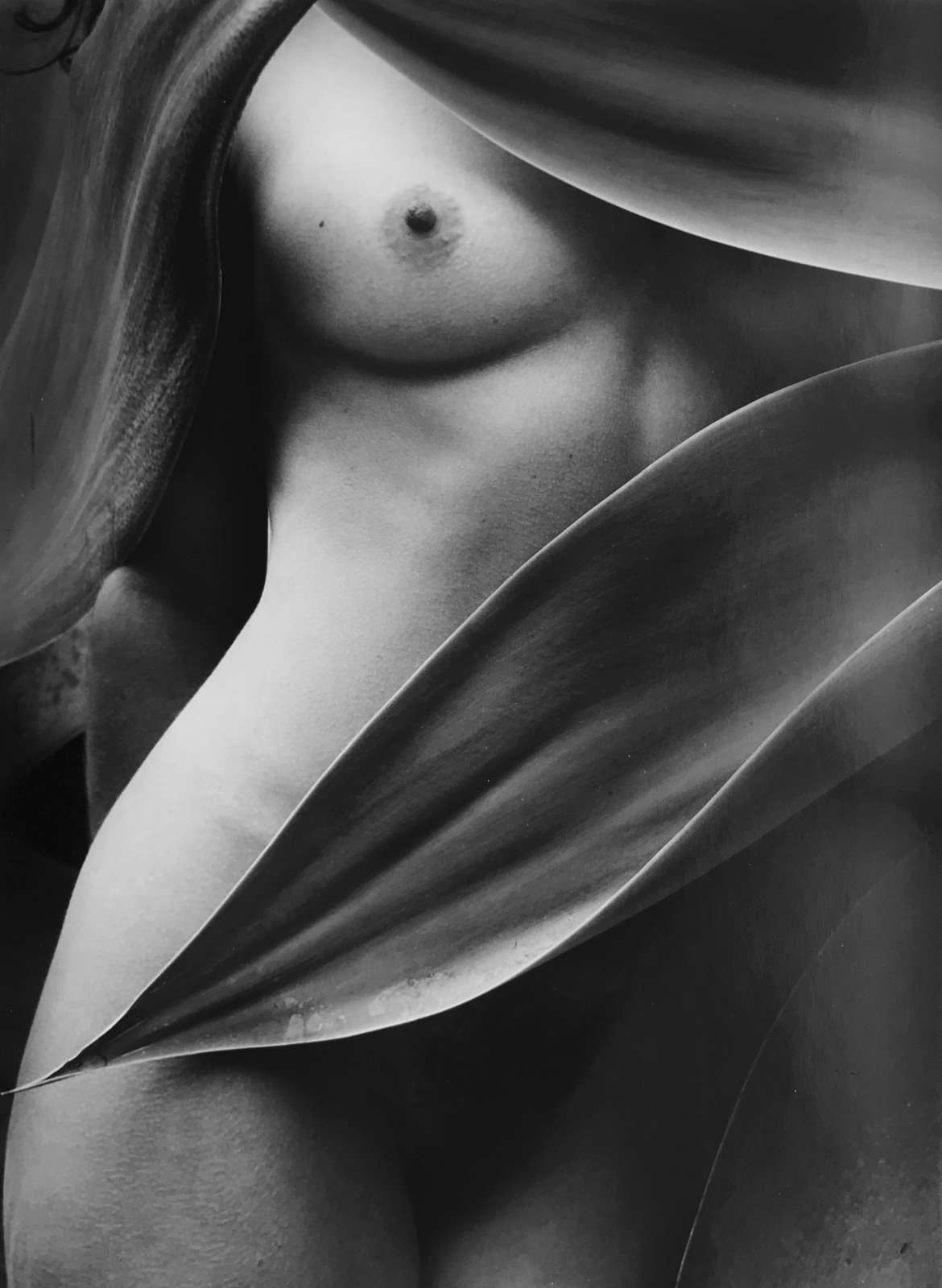 Flor Garduño, Vestido elegante, Mexico, 1999