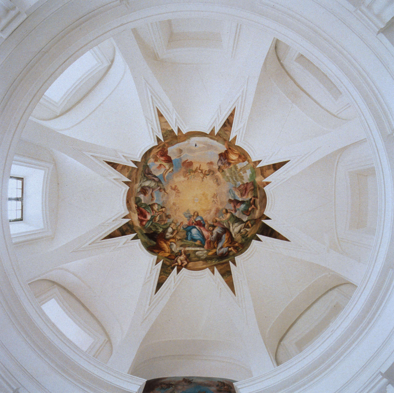 David Stephenson, Dome #31202, St. Bernards, Plasy, 2004