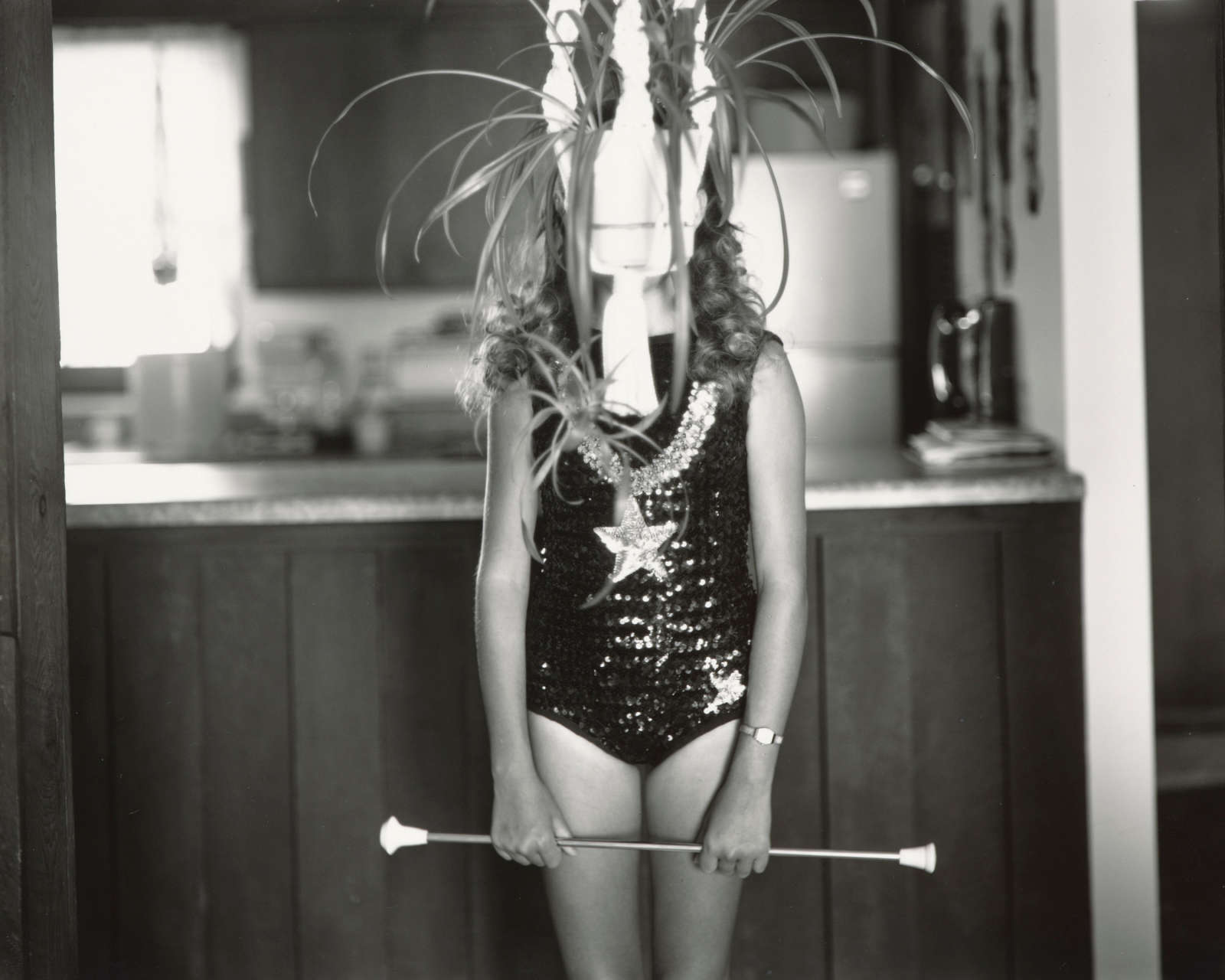 Spider Plant (At Twelve), 1983-1985