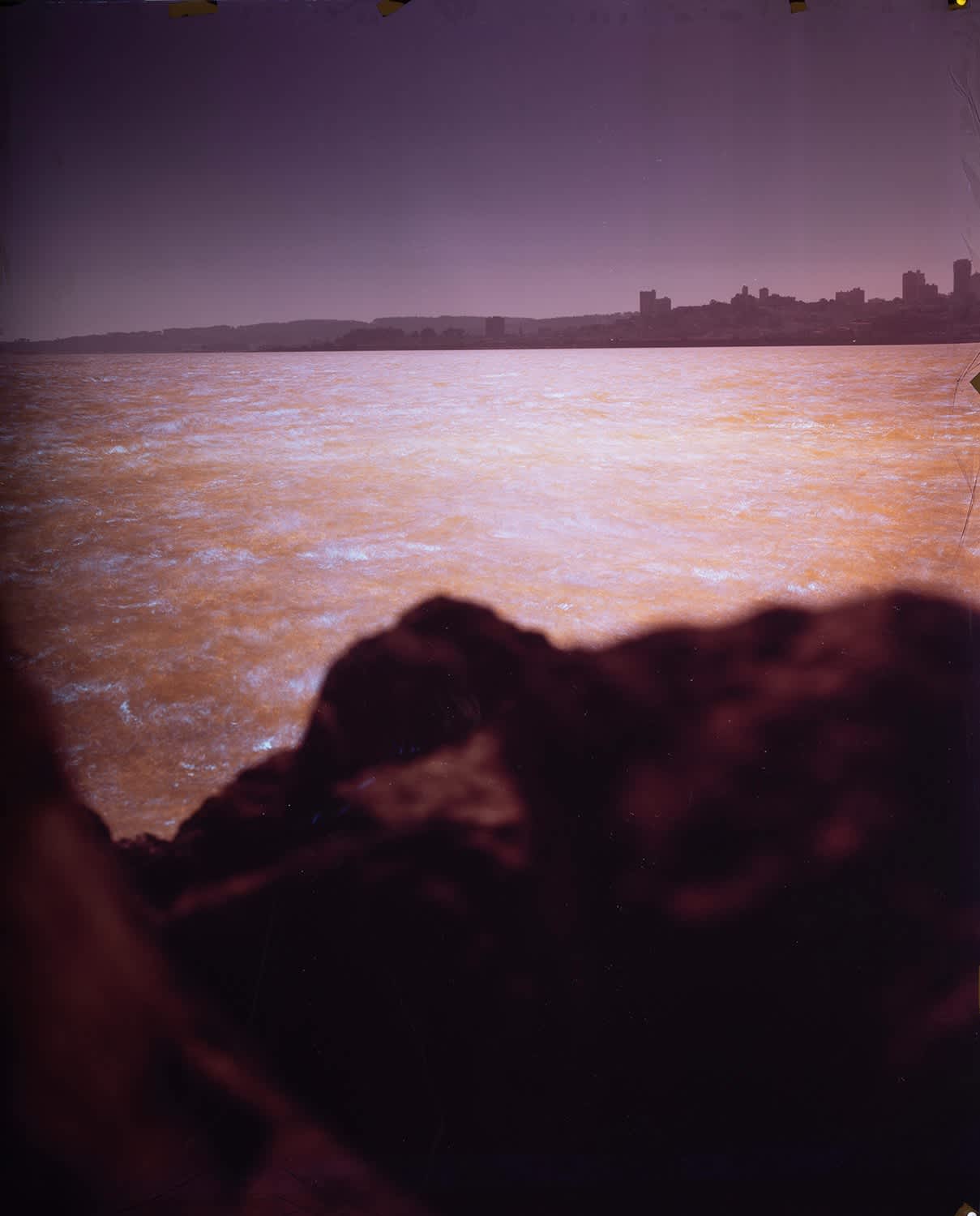 John Chiara, Avenue of the Palms facing Coit Tower, Treasure Island, 2023