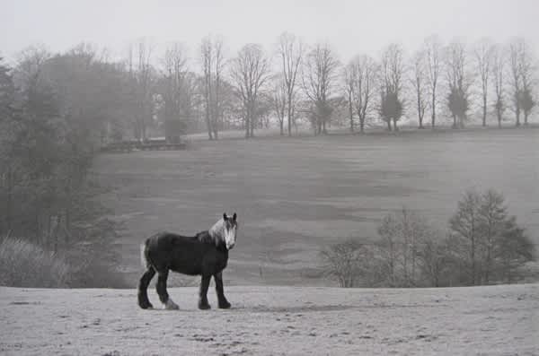 Henri Cartier-Bresson, Sussex, England, 1953