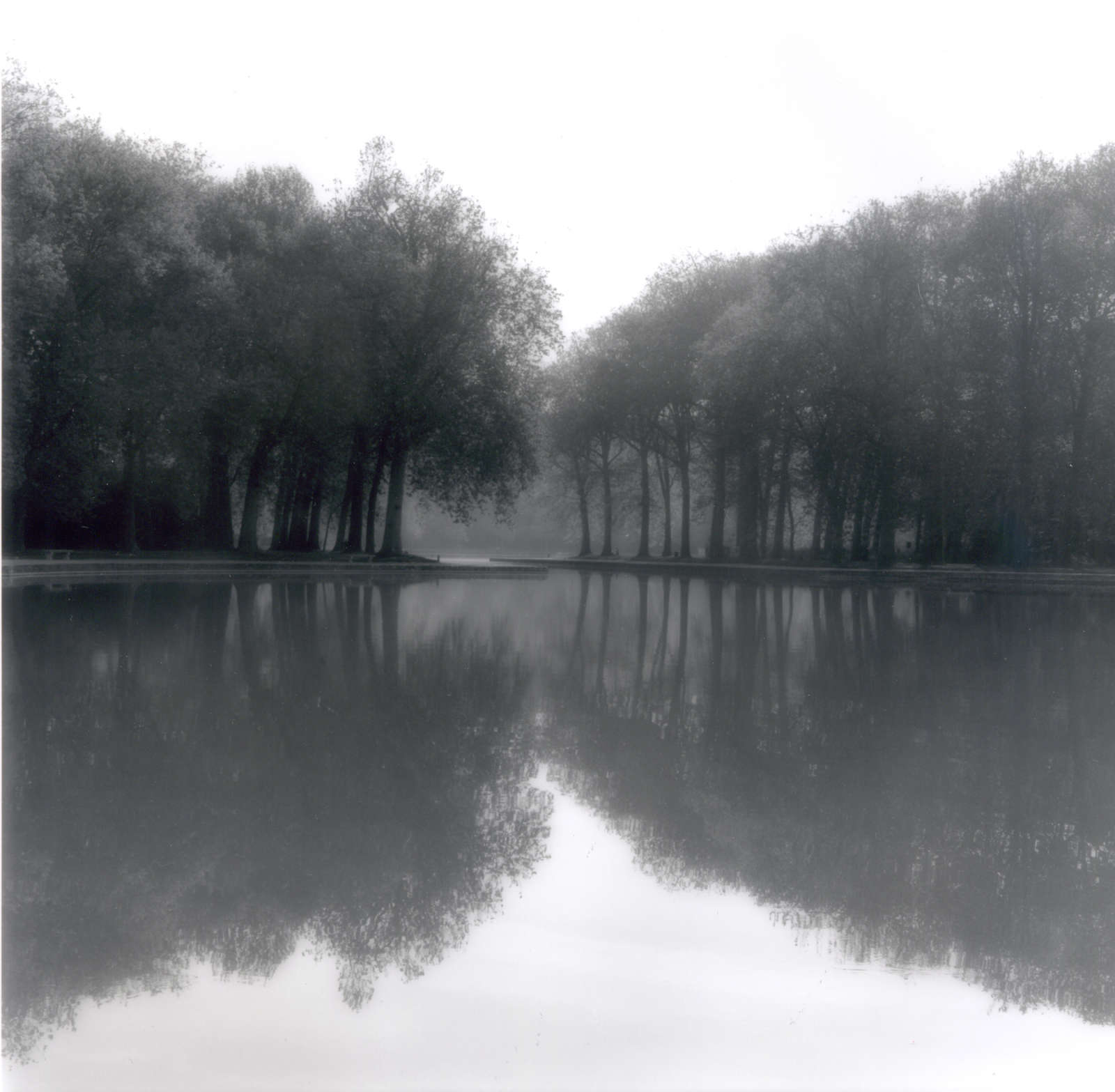 Lynn Geesaman, Parc de Sceaux, France (4-07-10-1), 2007