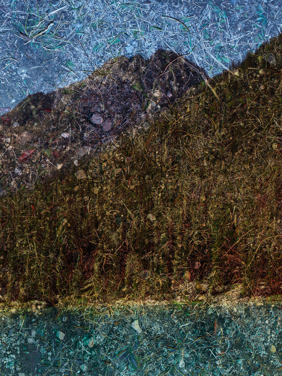 Abelardo Morell, Tent-Camera Image: Grizzly Reservoir 2, Near Aspen, Colorado, 2023