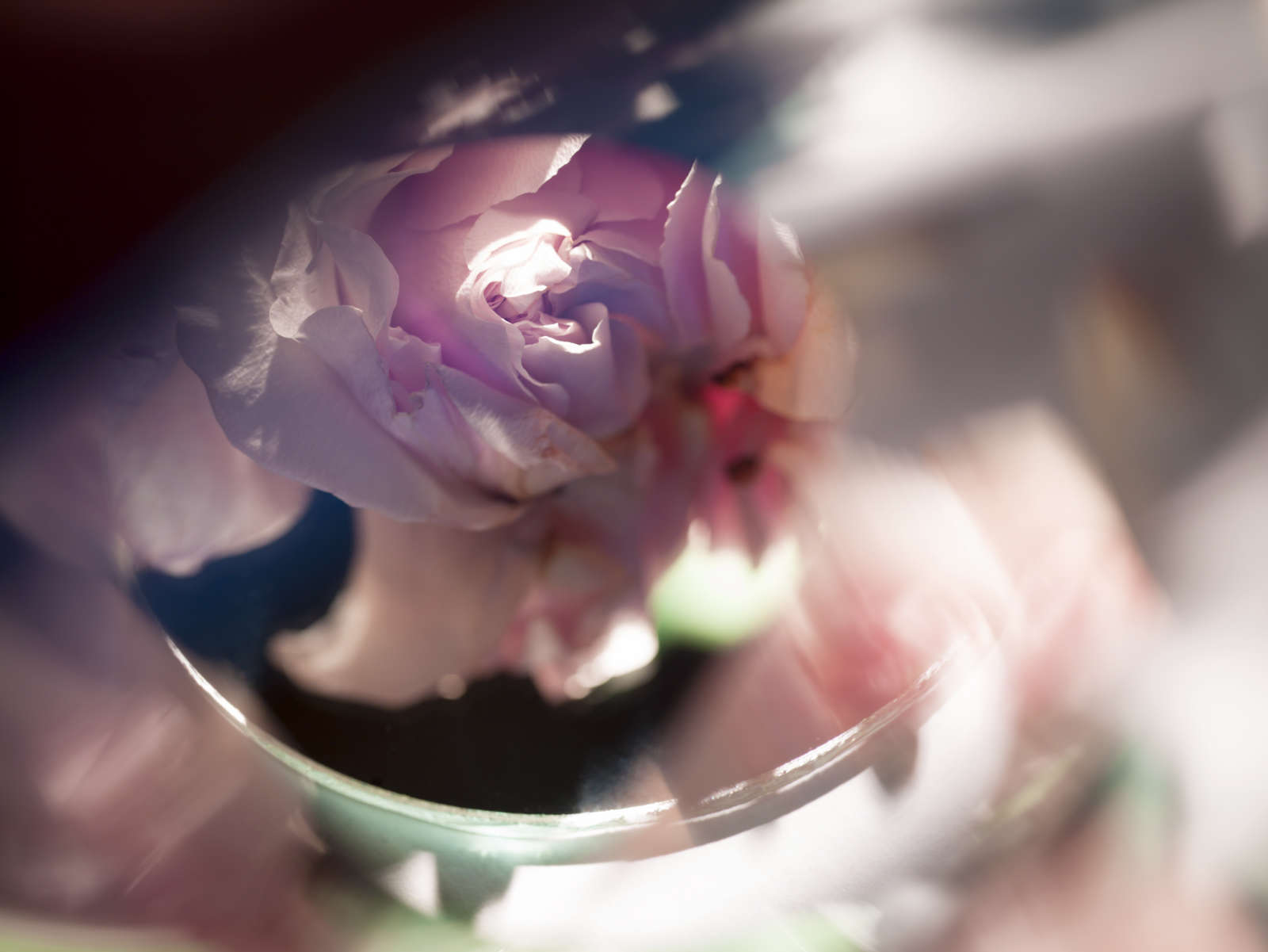 Edith Maybin, Untitled #15, The Girl Document , 2013