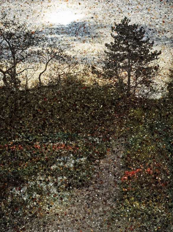 Abelardo Morell, Tent-Camera Image on Ground: Monet's Gardens in Early Morning Light, Giverny, France, 2016