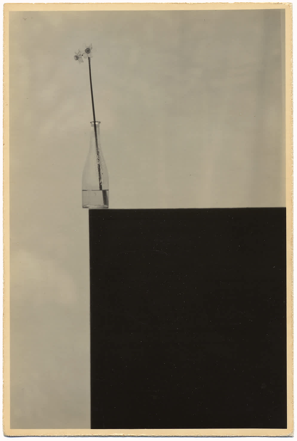 Masao Yamamoto: Box of Ku & Nakazora, A Box of Ku #156