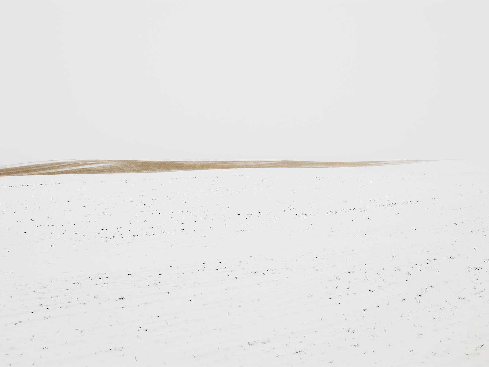 Josef Hoflehner, Winter Prairie, Wyoming, 2014
