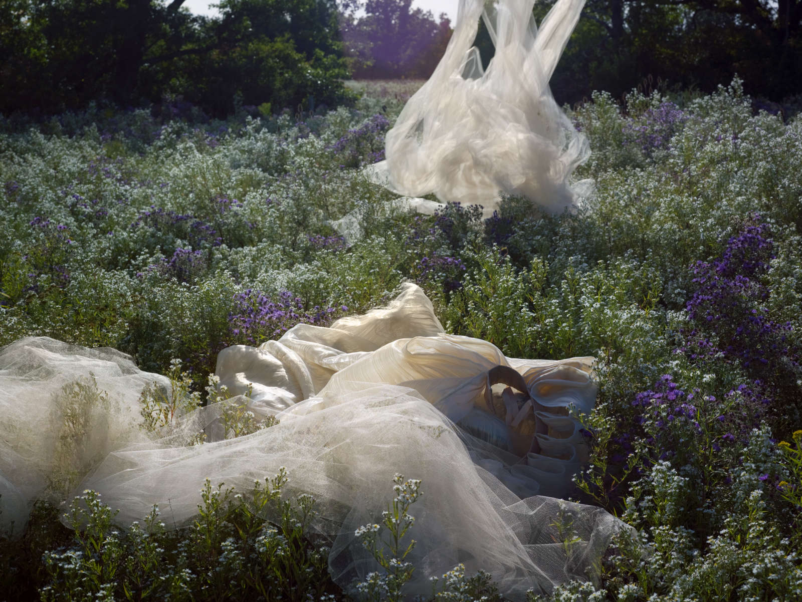 Edith Maybin, Untitled #16, The Garden Document , 2010