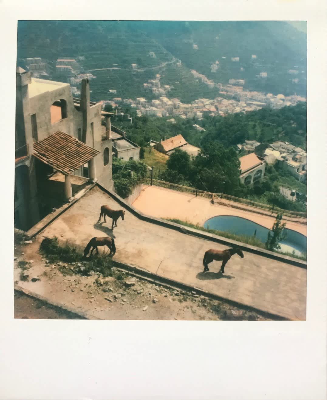 Ravello, 1998