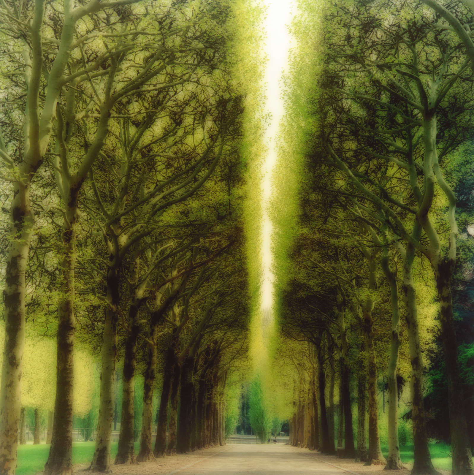 Lynn Geesaman, Parc de Sceaux, France (4-04-16c-8), 2004