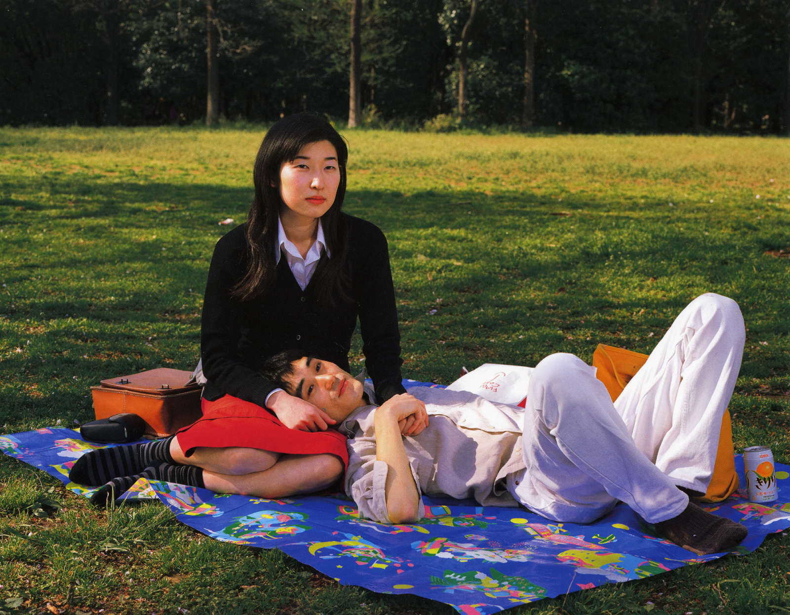 Untitled, Picnic Series, Plate 1, 2004