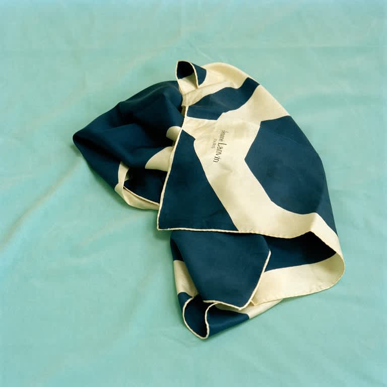 Jeannette Montgomery Barron, Lanvin Scarf, 2007