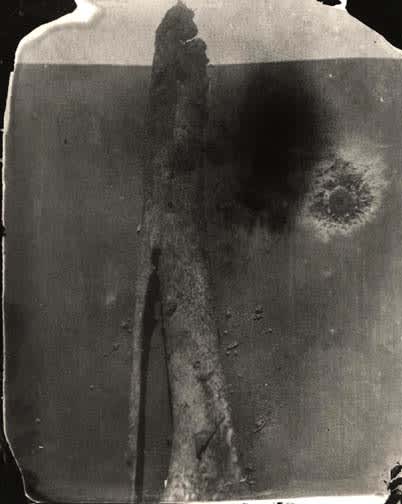 Sally Mann, Eva (#6 Chewed Thigh), 2000