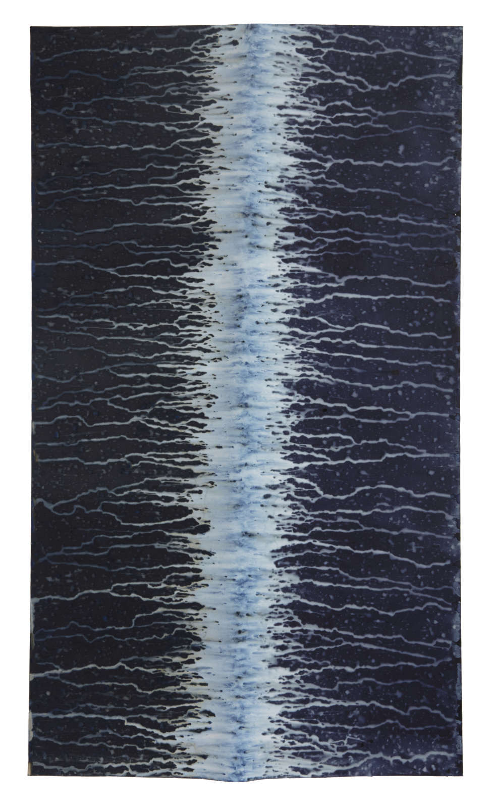 Meghann Riepenhoff, Ecotone #313 (Bainbridge Island, WA 03.01.18, Draped on Branch, Mixed Precipitation), 2018