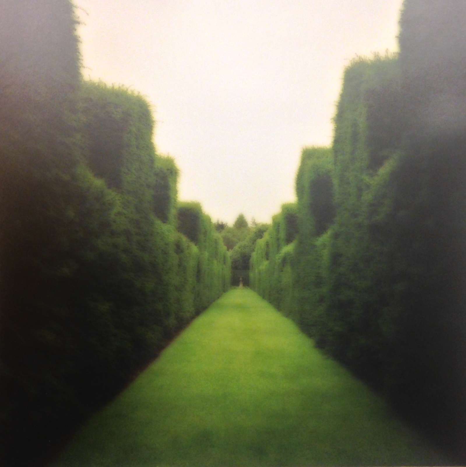 Lynn Geesaman, Miserden Park, England (7-00-1c-5), 2000