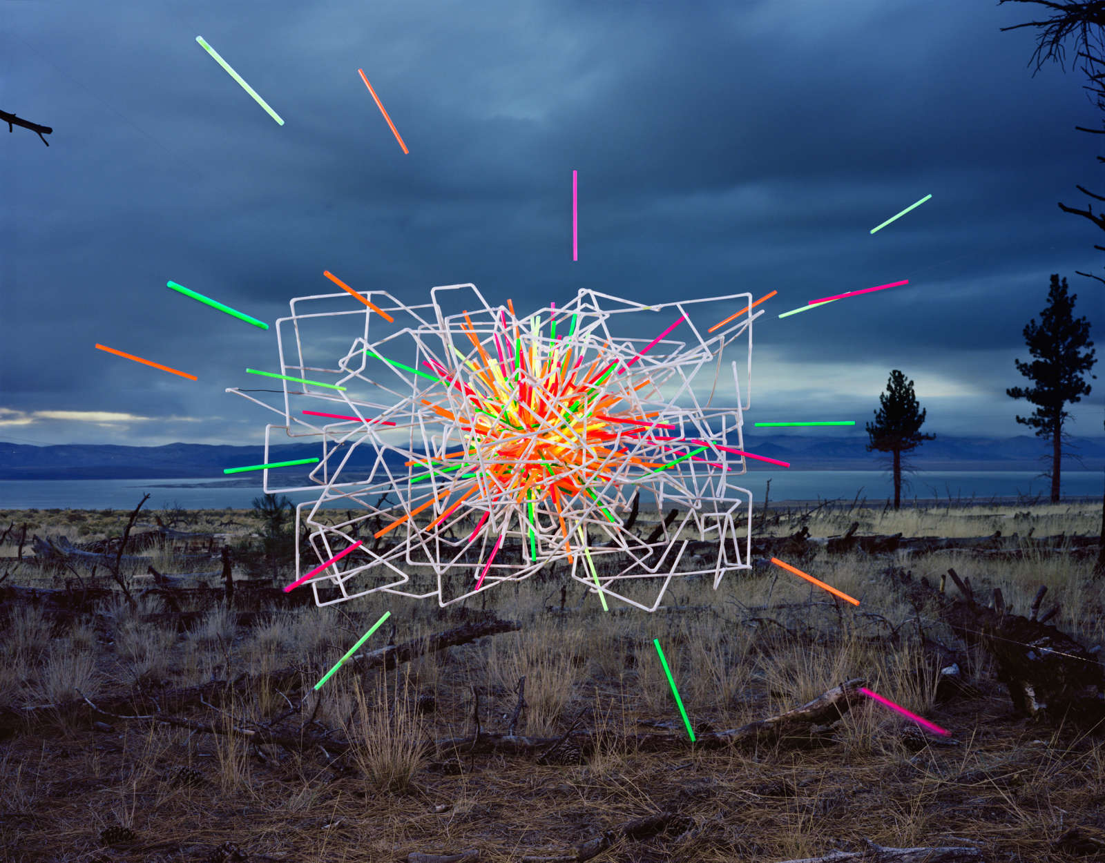 Thomas Jackson, Straws no. 4, Mono Lake, California, 2015