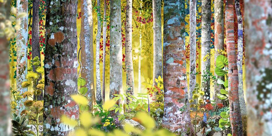 Ruud van Empel, Voyage Pittoresque #4, 2016