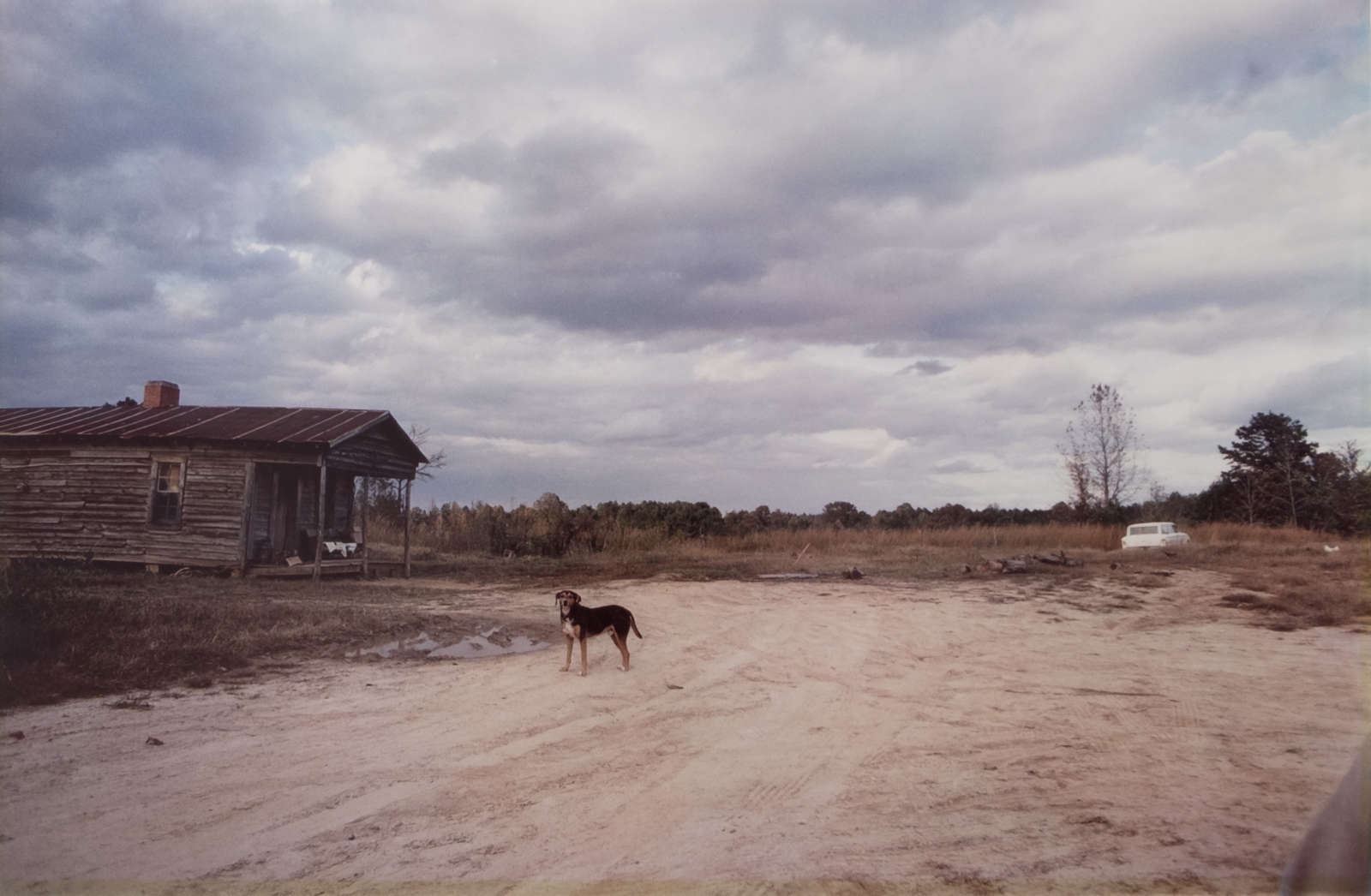 William Eggleston, Near Extinct Wannalaw Plantation, Mississippi, 1972