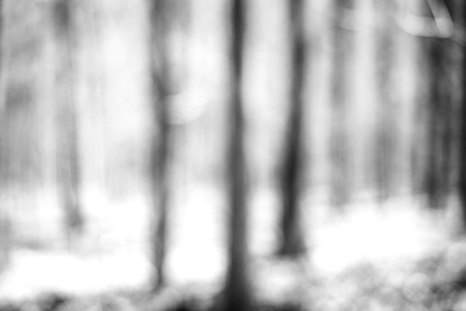 Behold the Land, Untitled 7, 2022