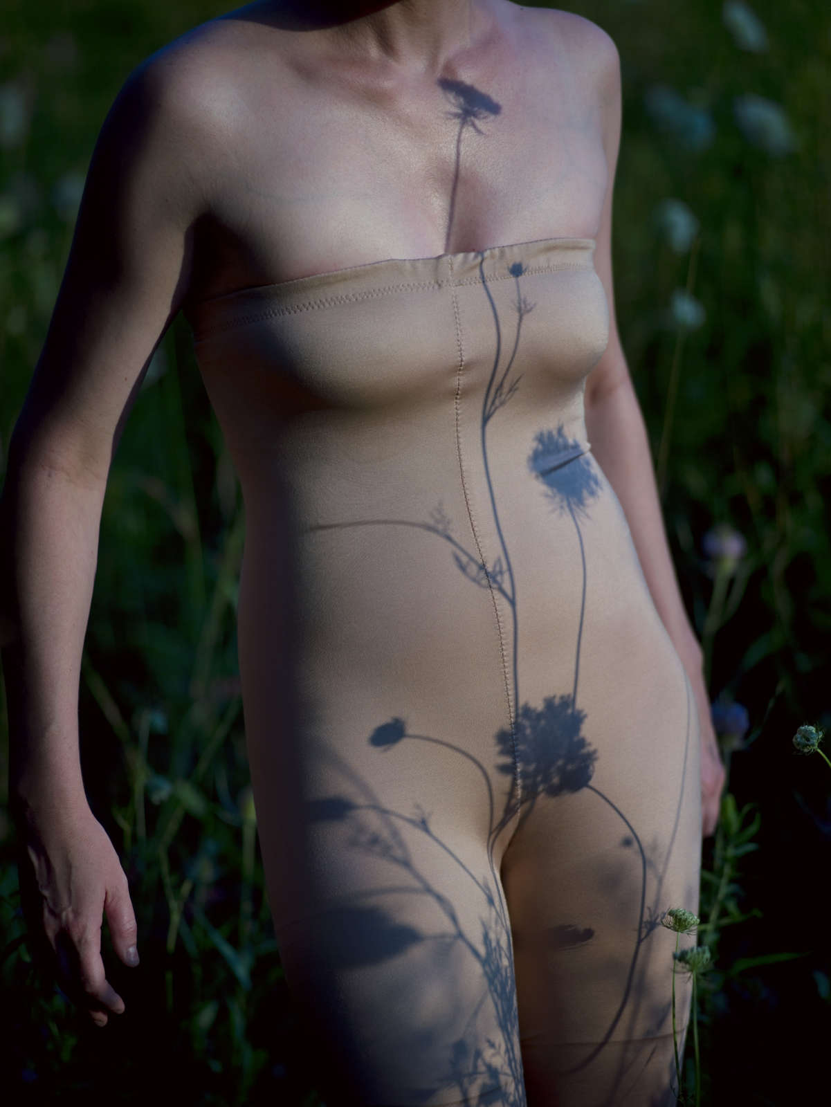 Edith Maybin, Untitled #3, The Garden Document, 2010