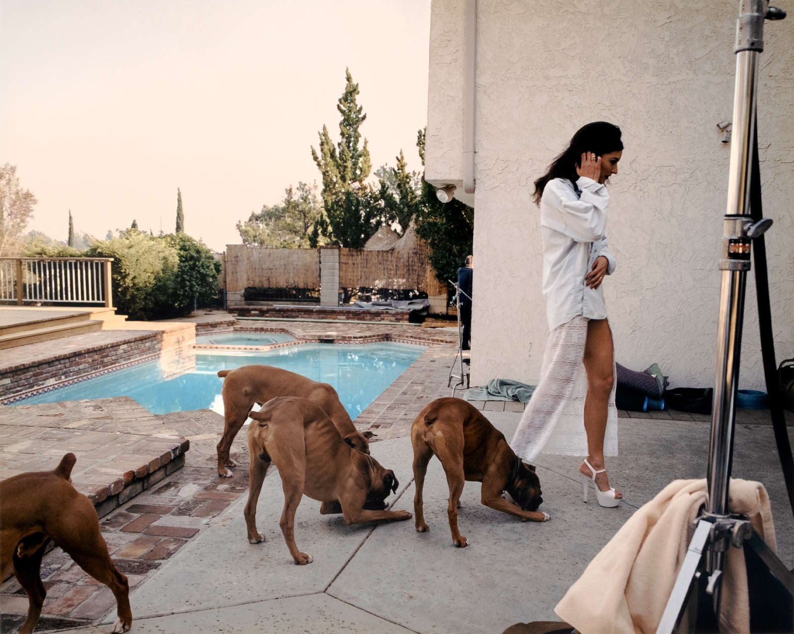 Larry Sultan, Boxers, Mission Hills, 1999