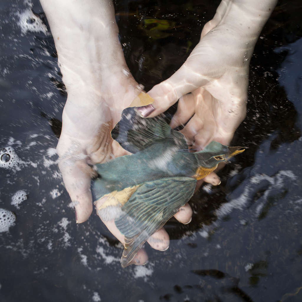 Cig Harvey, The Blue Bird, Rockport, Maine, 2014