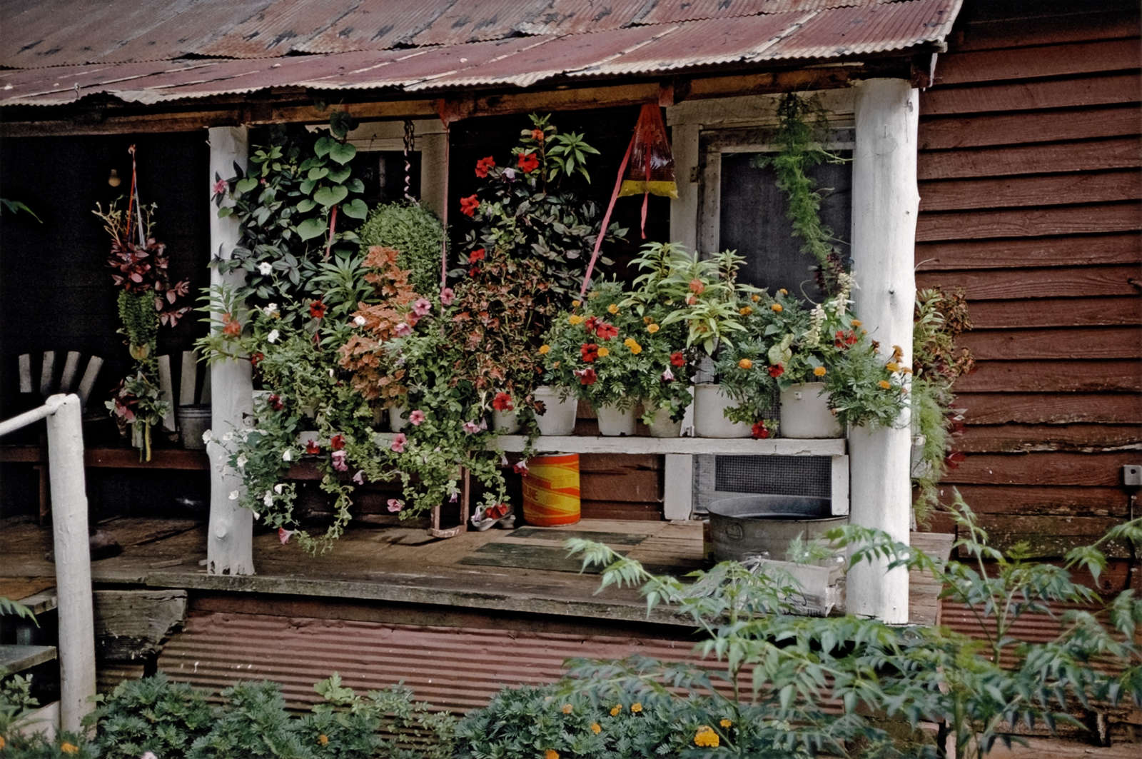 William Christenberry, House with Flowers, near Morgan Springs, Alabama, 1984