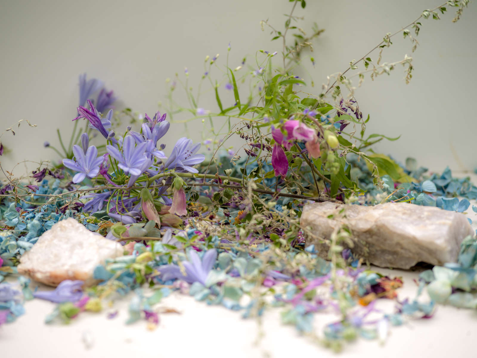 Carolyn Carr, Bouquet, 2018