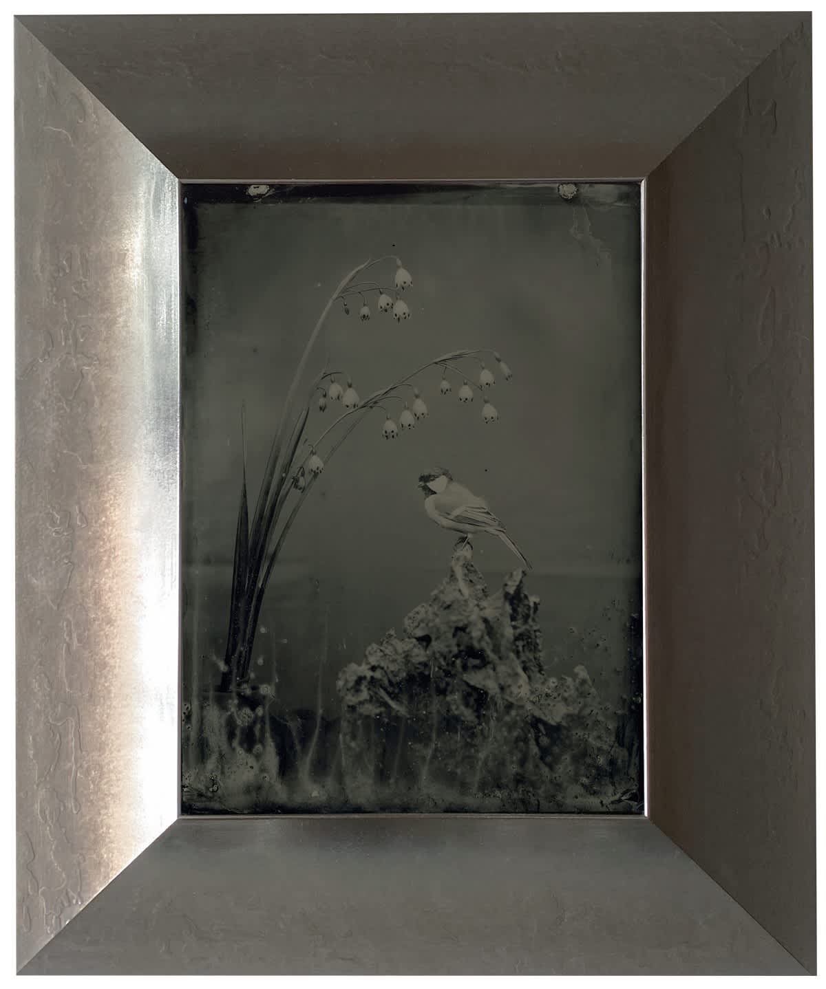 Ambrotype #68, 2022